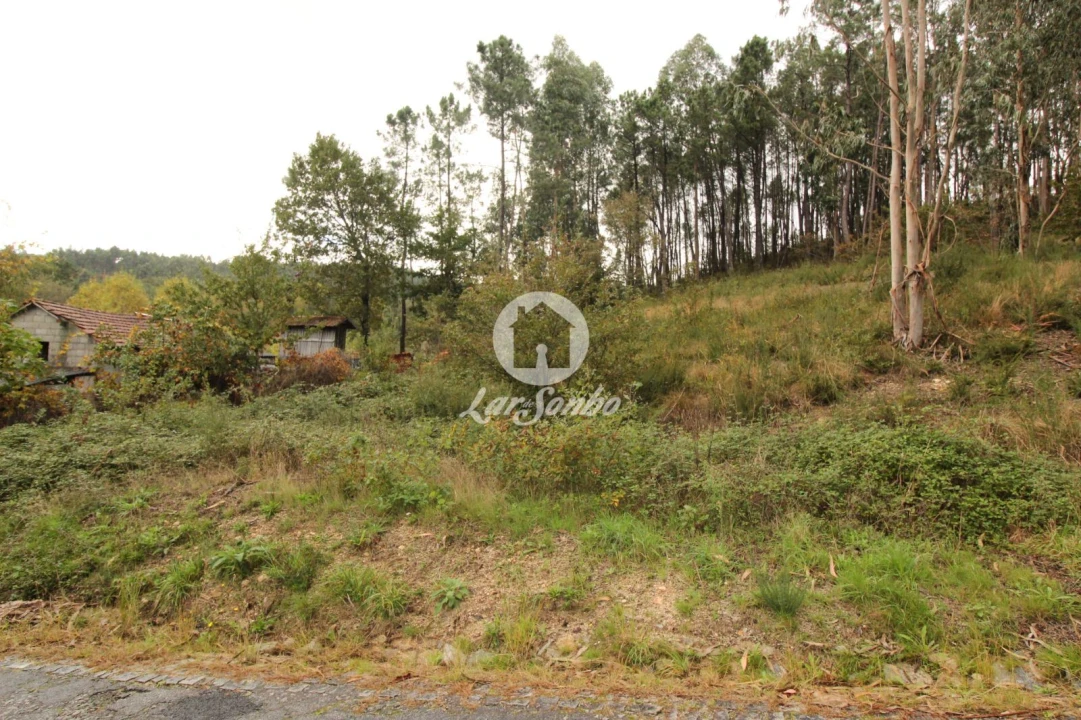 Terreno Agricola ou Rústico para Venda em Agilde Foto 1