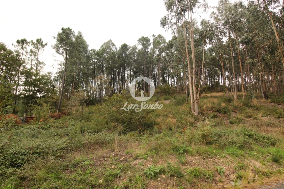 Terreno Agricola ou Rústico para Venda em Agilde Foto 3