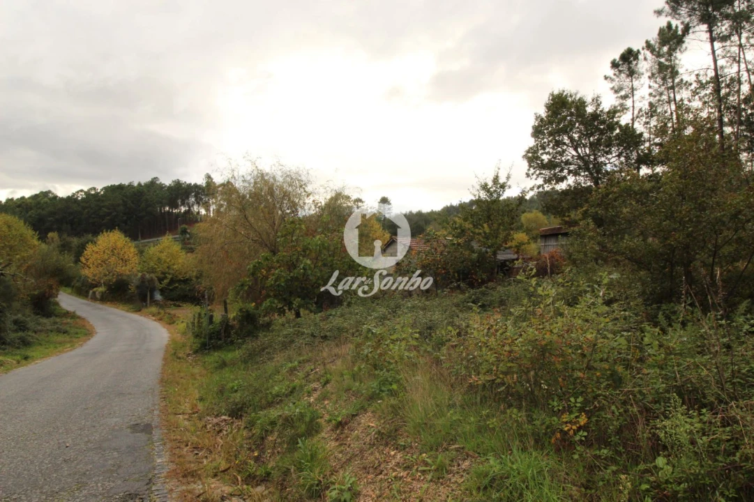 Terreno Agricola ou Rústico para Venda em Agilde Foto 5