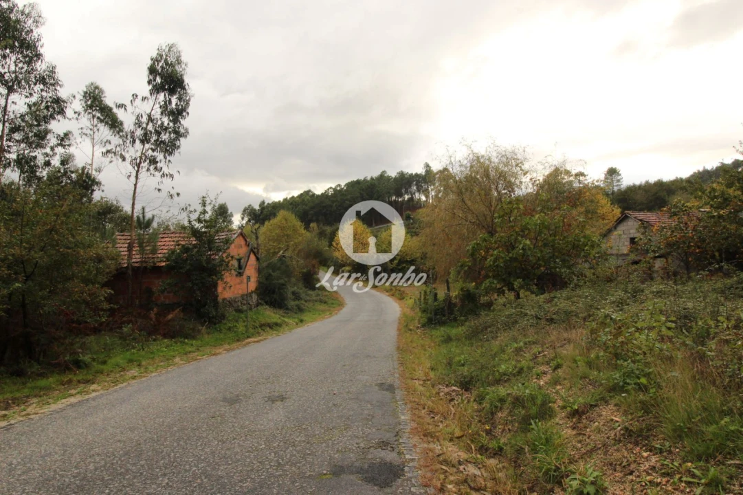 Terreno Agricola ou Rústico para Venda em Agilde Foto 6