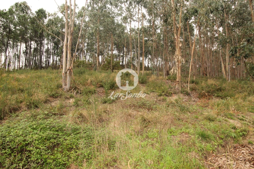 Terreno Agricola ou Rústico para Venda em Agilde Foto 7