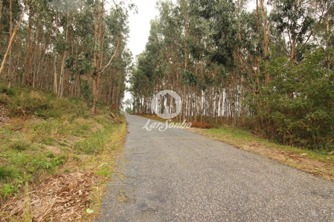 Terreno Agricola ou Rústico para Venda em Agilde Foto 8