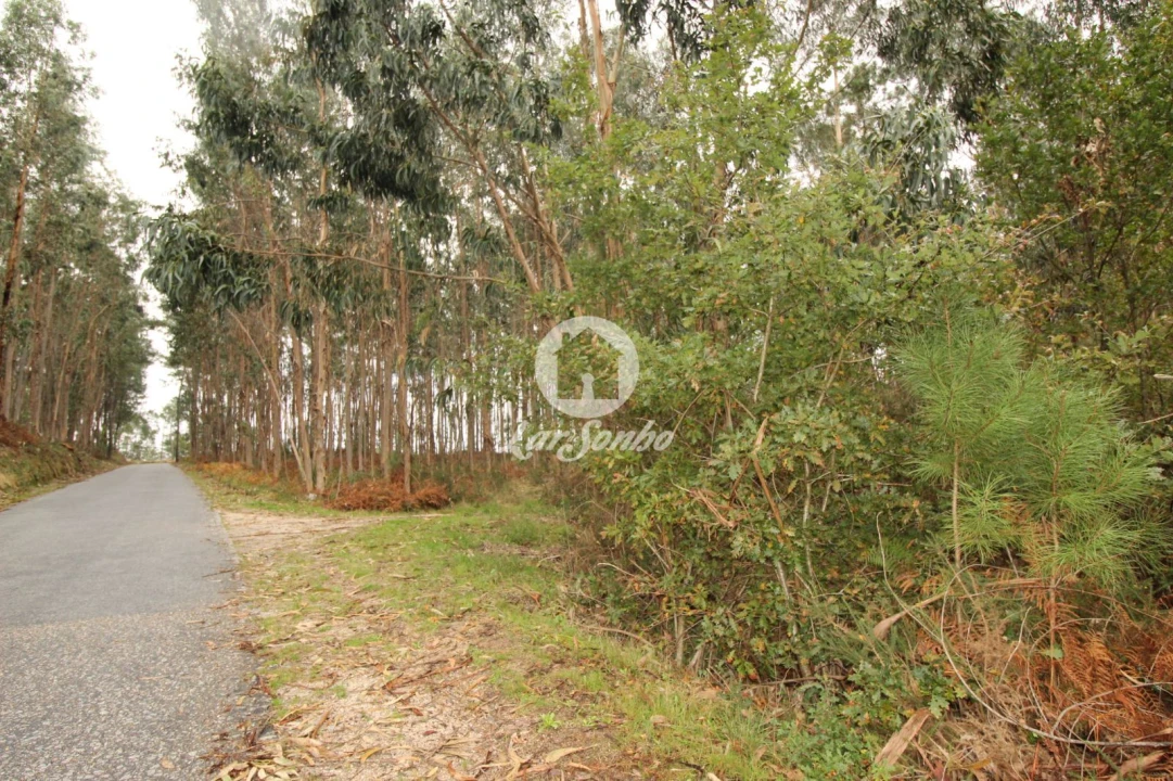 Terreno Agricola ou Rústico para Venda em Agilde Foto 9