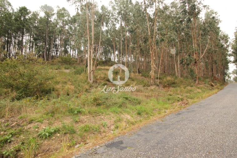 Terreno Agricola ou Rústico para Venda em Agilde Foto 2
