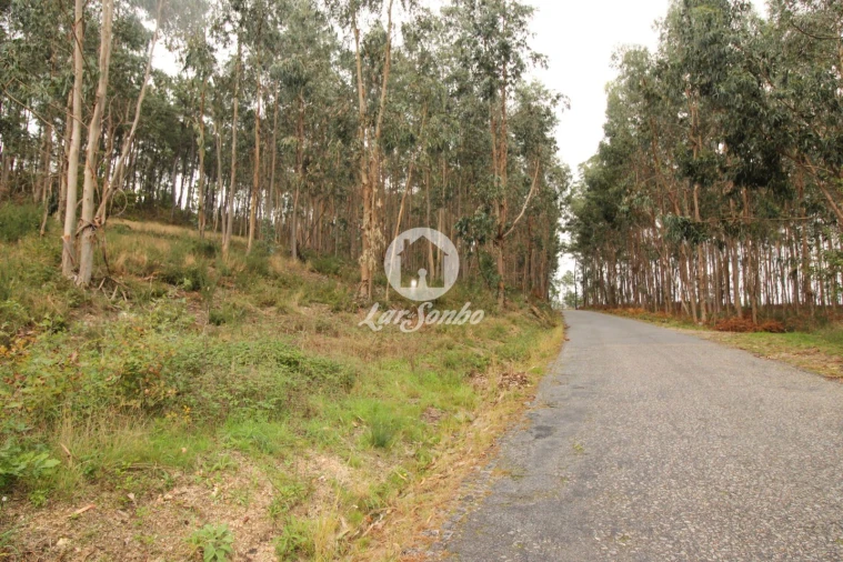 Terreno Agricola ou Rústico para Venda em Agilde Foto 4