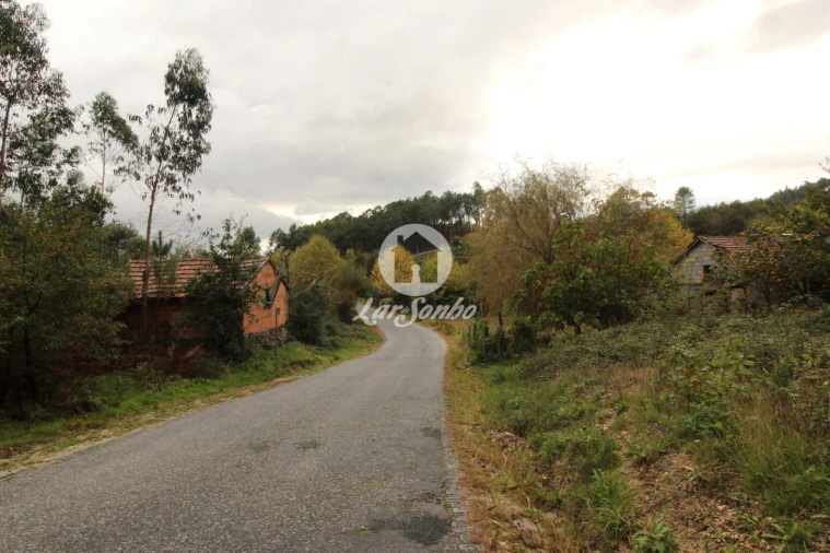 Terreno Agricola ou Rústico para Venda em Agilde Foto 6