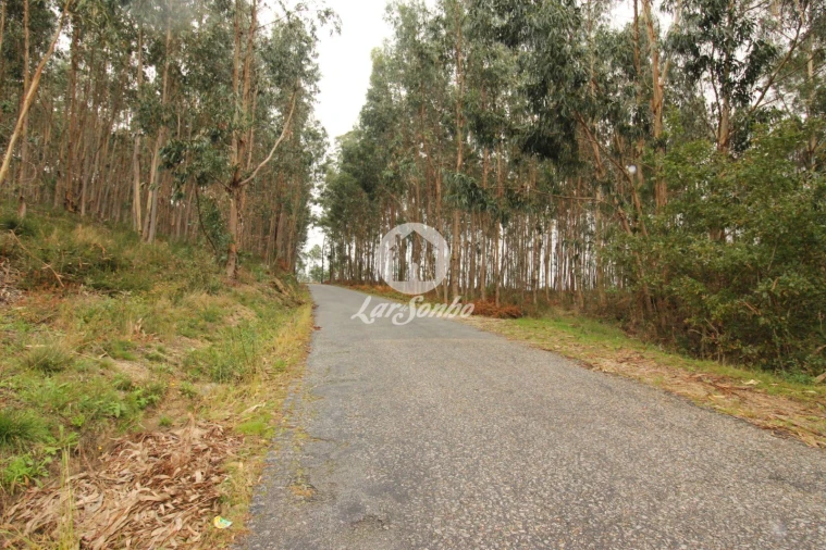 Terreno Agricola ou Rústico para Venda em Agilde Foto 8