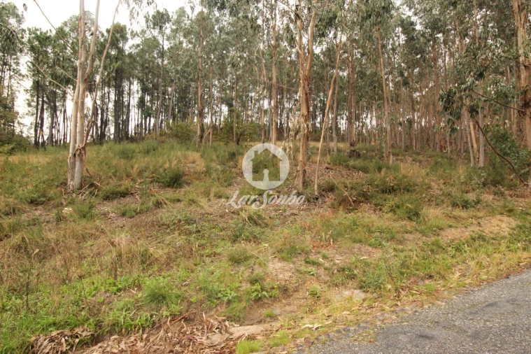 Terreno Agricola ou Rústico para Venda em Agilde Foto 11