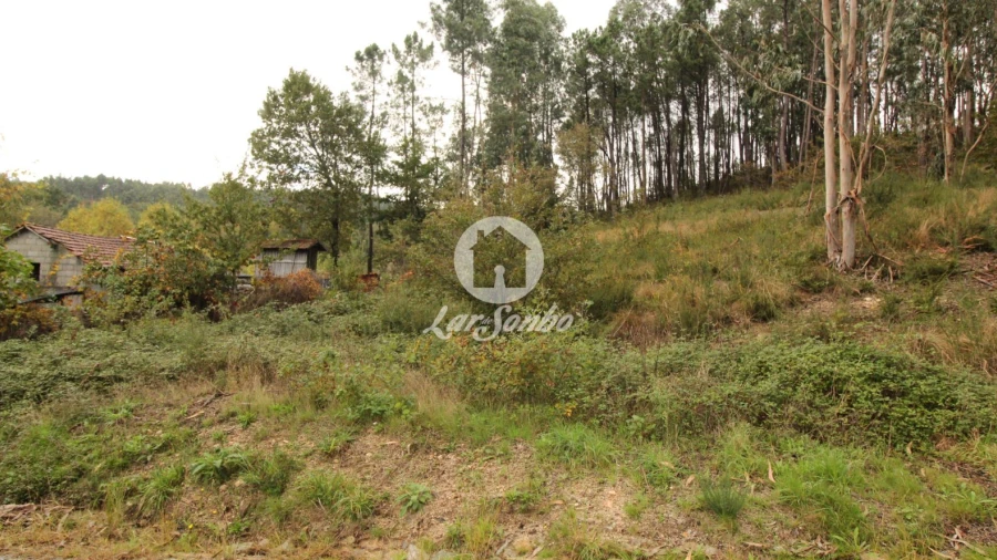 Terreno Agricola ou Rústico para Venda em Agilde
