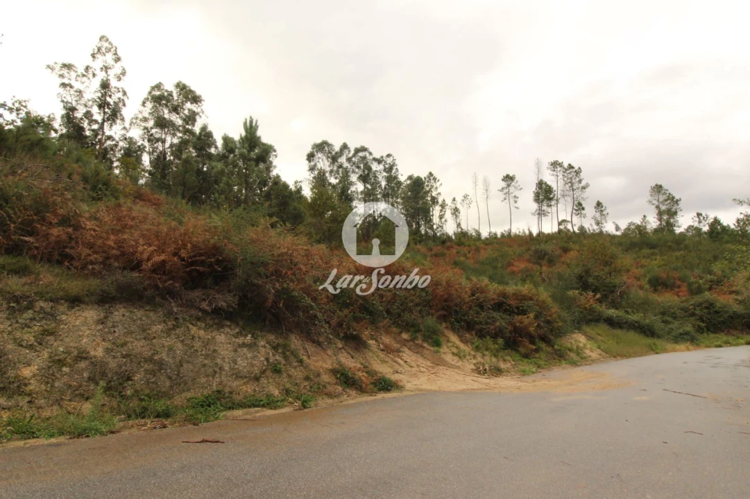 Terreno Agricola ou Rústico para Venda em Agilde Foto 1