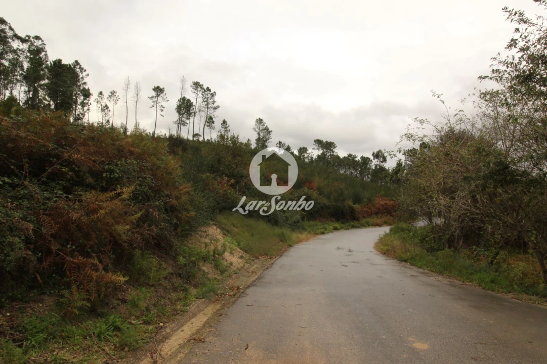 Terreno Agricola ou Rústico para Venda em Agilde Foto 5
