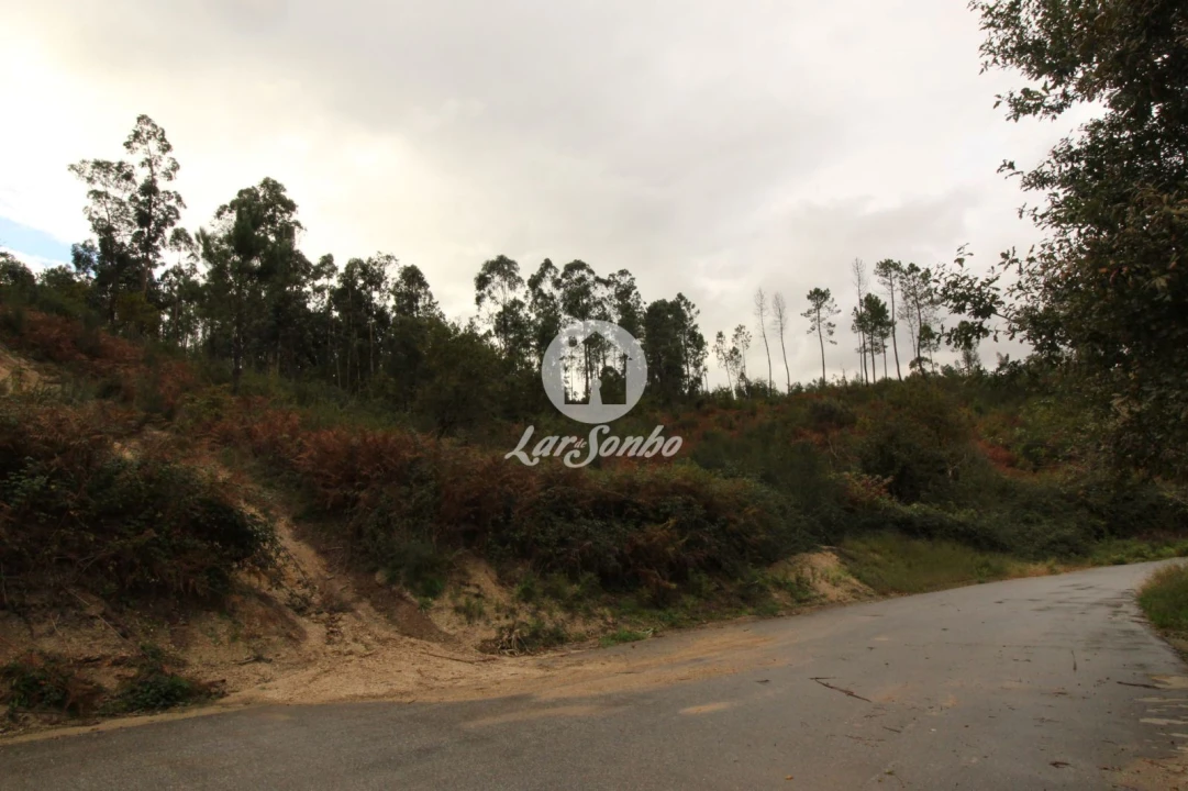 Terreno Agricola ou Rústico para Venda em Agilde Foto 7