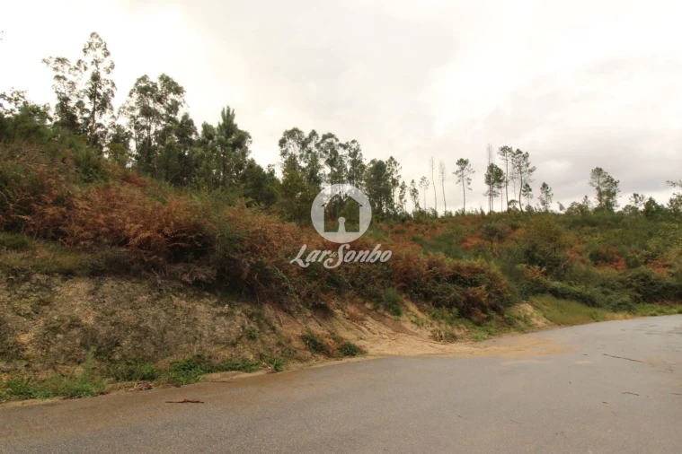 Terreno Agricola ou Rústico para Venda em Agilde Foto 1