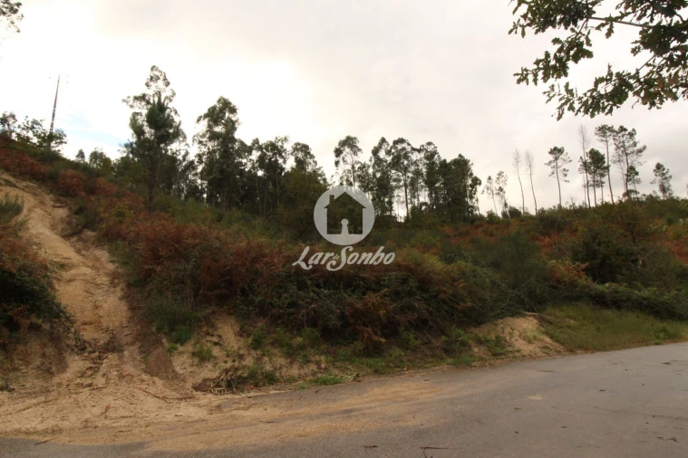 Terreno Agricola ou Rústico para Venda em Agilde Foto 3