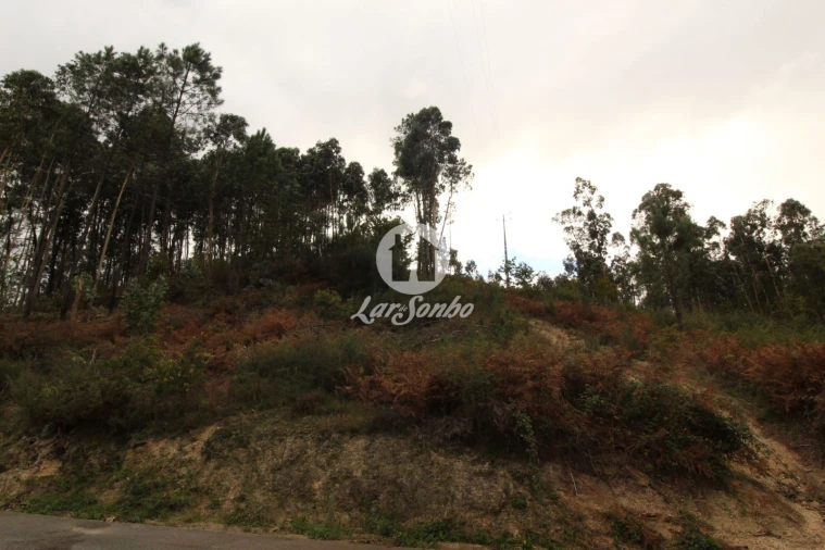 Terreno Agricola ou Rústico para Venda em Agilde Foto 8
