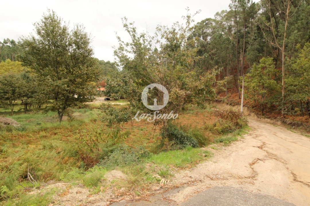 Terreno Agricola ou Rústico para Venda em Agilde Foto 2