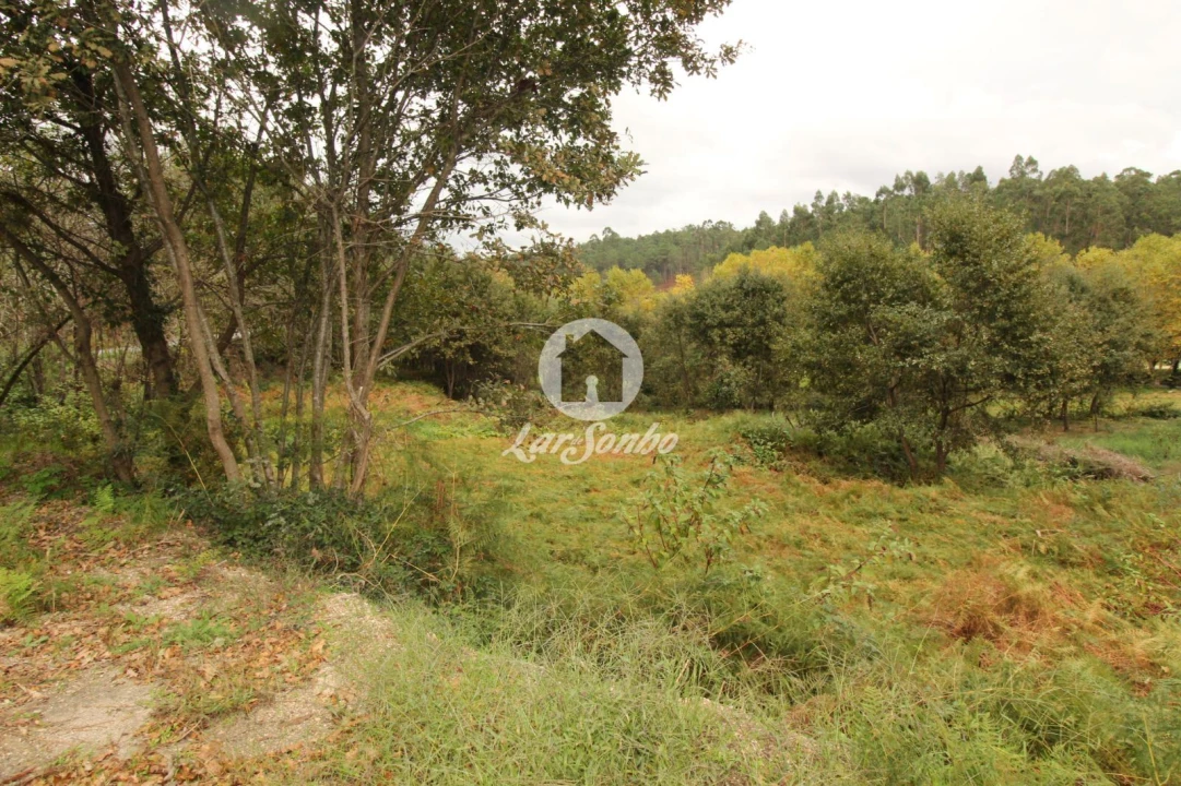 Terreno Agricola ou Rústico para Venda em Agilde Foto 8