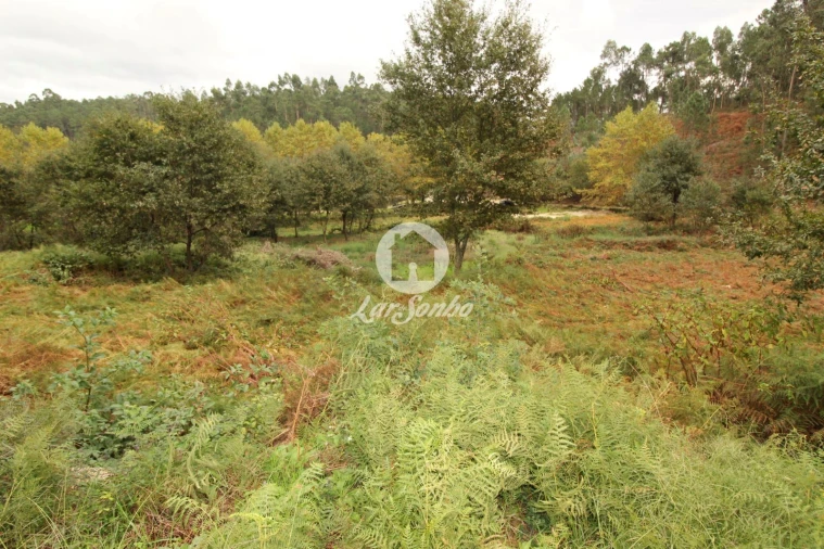 Terreno Agricola ou Rústico para Venda em Agilde Foto 1