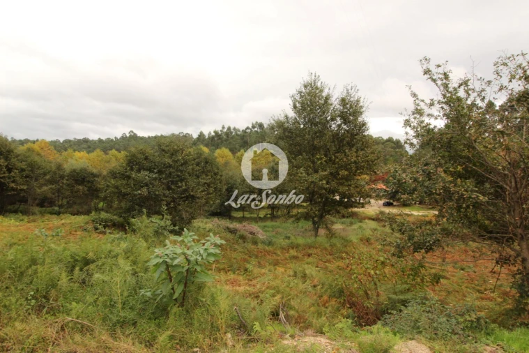 Terreno Agricola ou Rústico para Venda em Agilde Foto 3