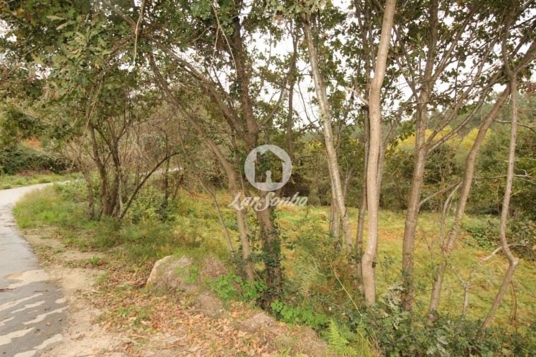 Terreno Agricola ou Rústico para Venda em Agilde Foto 4