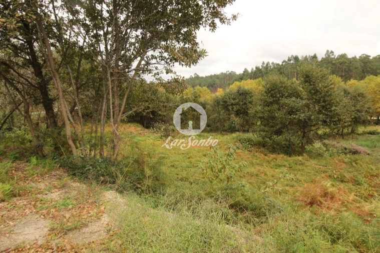 Terreno Agricola ou Rústico para Venda em Agilde Foto 8