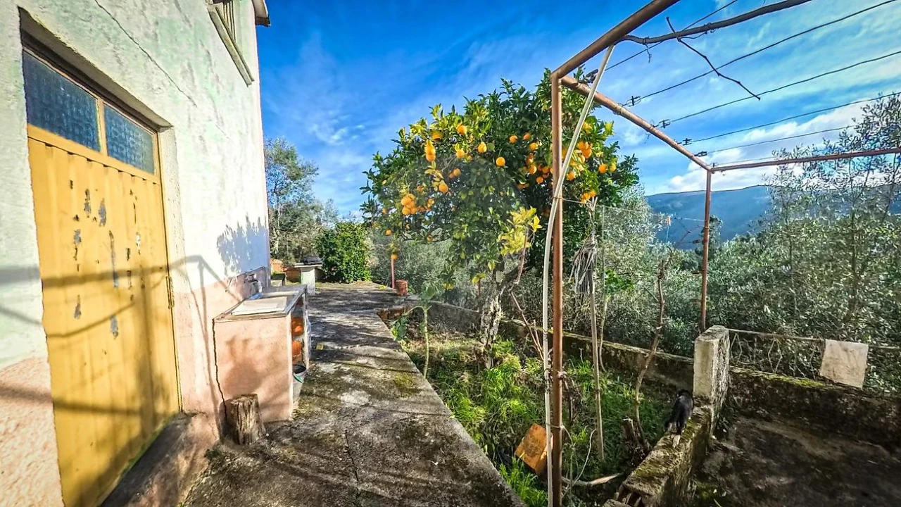 Moradia T2 para Venda em Cadafaz e Colmeal Foto 2