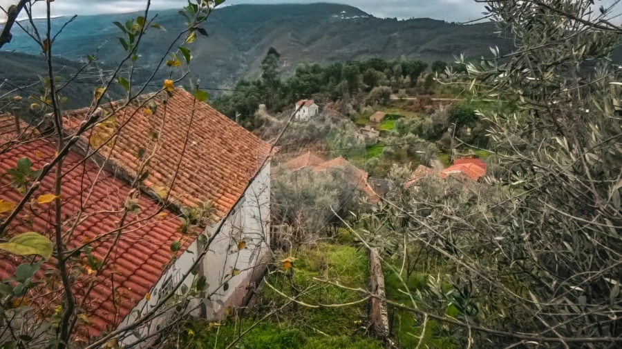 Moradia T2 para Venda em Cadafaz e Colmeal Foto 16