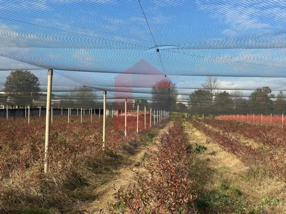 Terreno para Venda em Turiz Foto 20