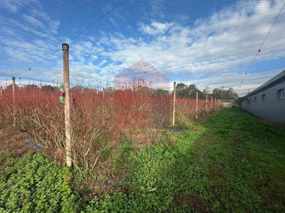 Terreno para Venda em Turiz Foto 18
