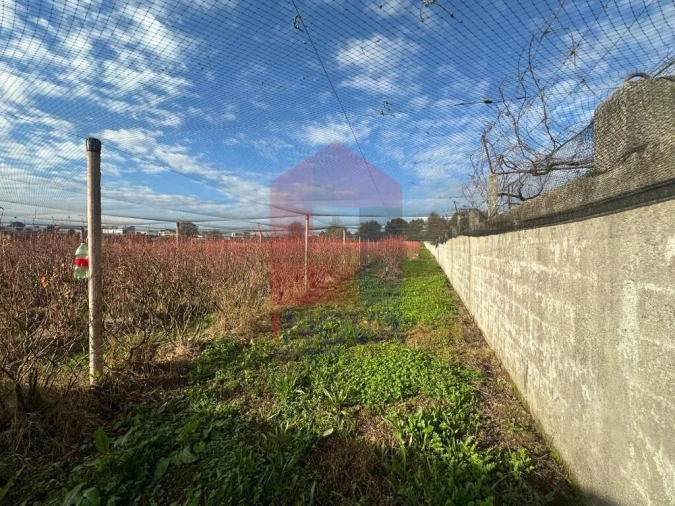 Terreno para Venda em Turiz Foto 3