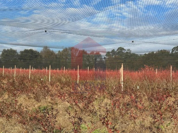 Terreno para Venda em Turiz Foto 21