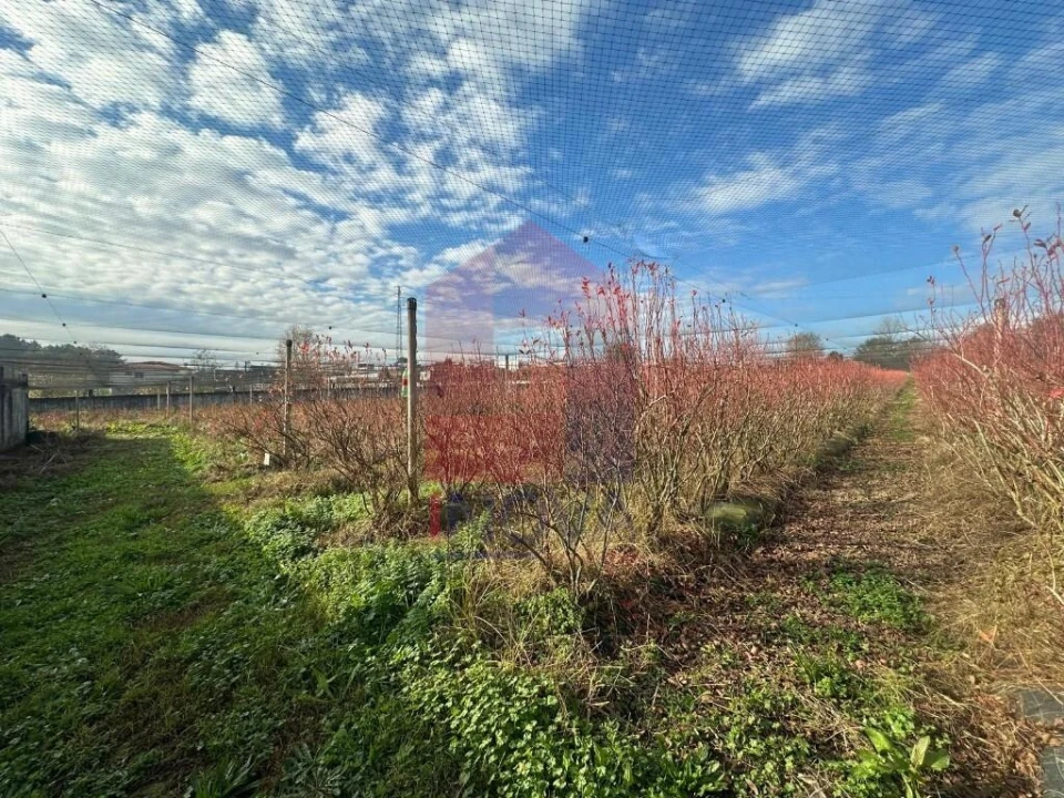 Terreno para Venda em Turiz Foto 10