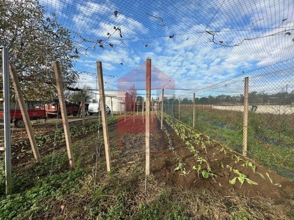 Terreno para Venda em Turiz Foto 14