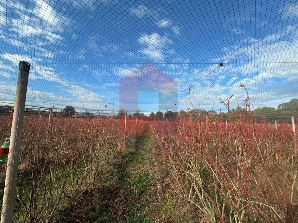 Terreno para Venda em Turiz Foto 16