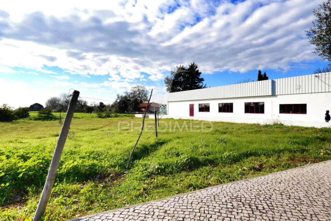 Terreno para Venda em Salvaterra de Magos e Foros de Salvaterra Foto 2