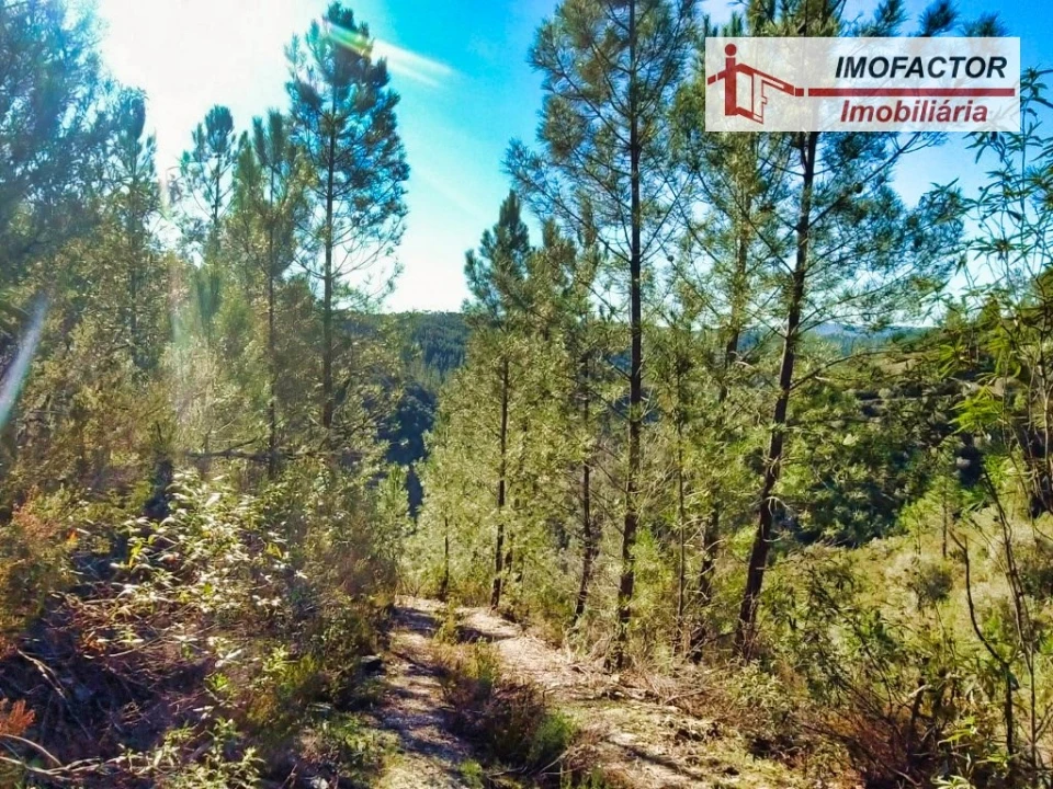 Terreno para Venda em Santo Andre das Tojeiras Foto 5