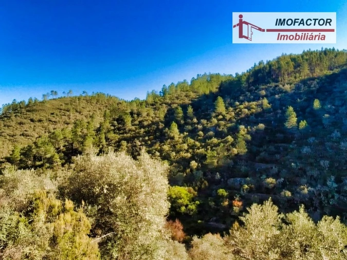 Terreno para Venda em Santo Andre das Tojeiras Foto 6