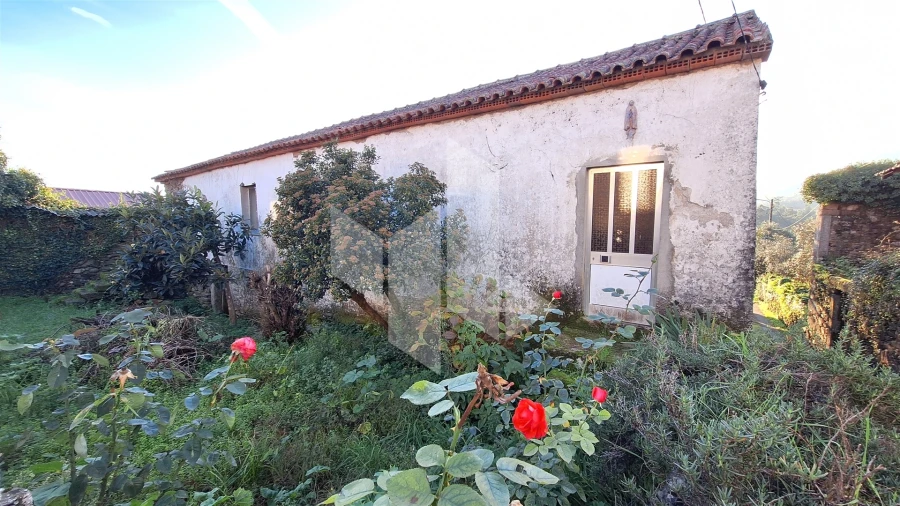 Moradia T2 para Venda em Castelões Foto 3