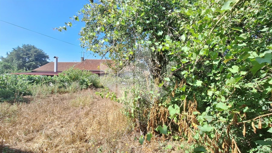 Moradia T2 para Venda em Castelões Foto 18