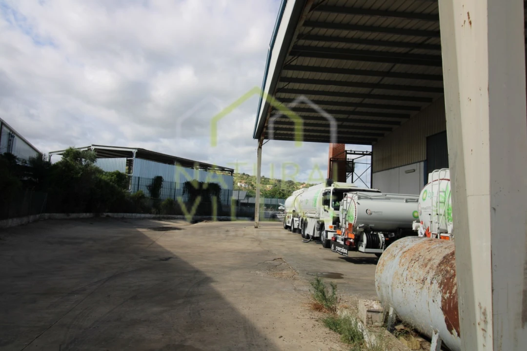 Armazém para Venda em São Brás de Alportel Foto 18
