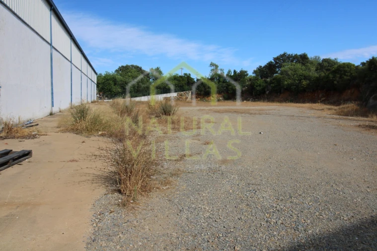 Armazém para Venda em São Brás de Alportel Foto 21