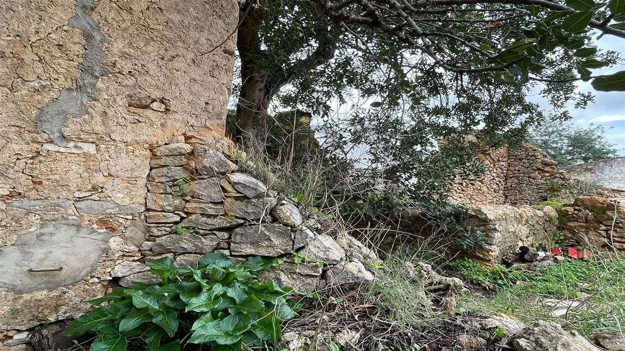 Quinta para Venda em Moncarapacho e Fuseta Foto 8