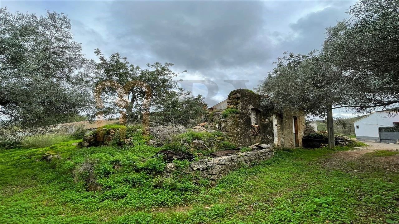 Quinta para Venda em Moncarapacho e Fuseta Foto 9