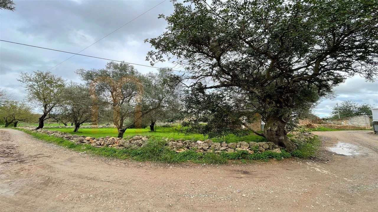 Quinta para Venda em Moncarapacho e Fuseta Foto 12