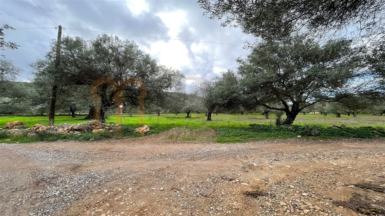 Quinta para Venda em Moncarapacho e Fuseta Foto 17