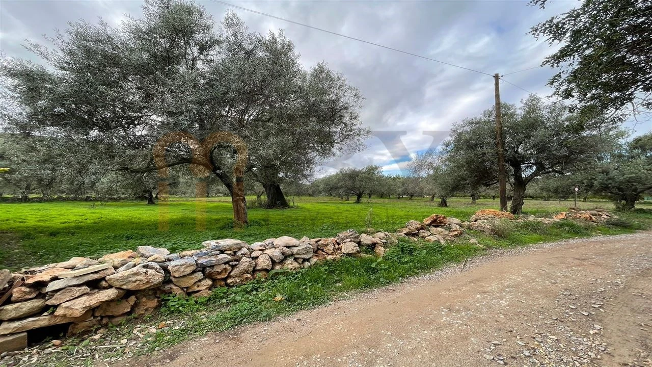 Quinta para Venda em Moncarapacho e Fuseta Foto 18