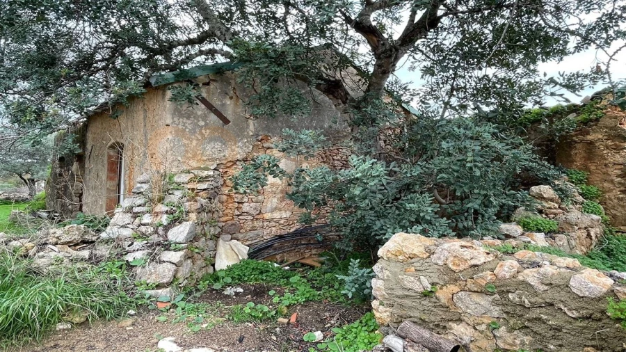 Quinta para Venda em Moncarapacho e Fuseta Foto 7