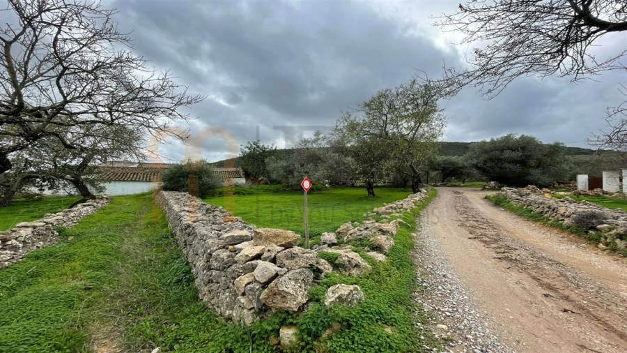 Quinta para Venda em Moncarapacho e Fuseta Foto 15