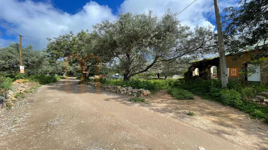 Quinta para Venda em Moncarapacho e Fuseta Foto 3