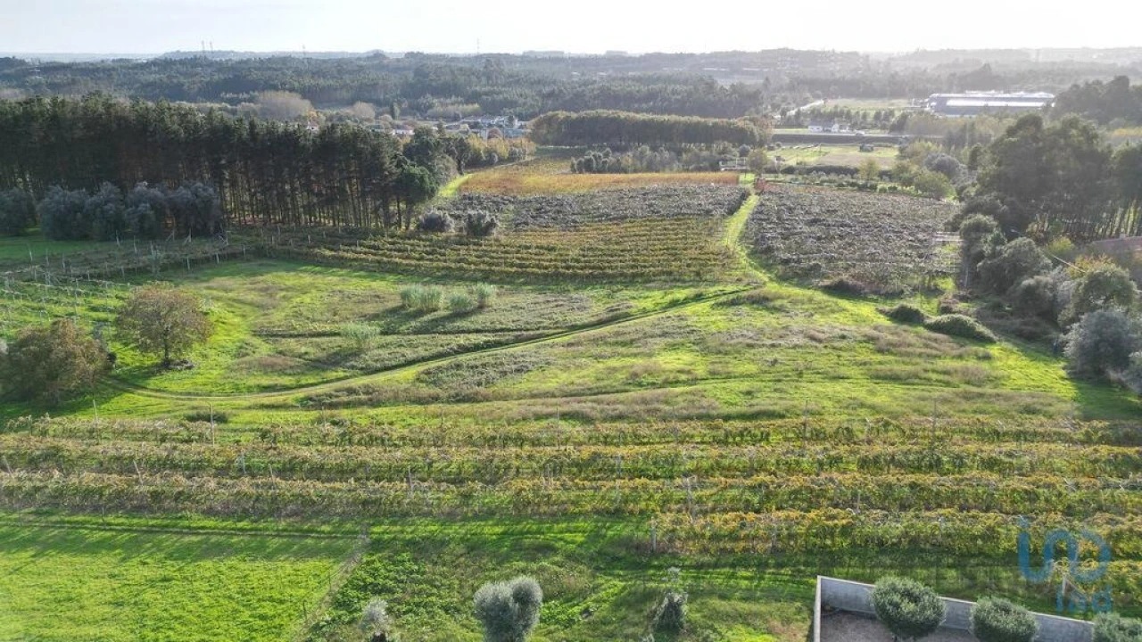 Terreno para Venda em Sangalhos Foto 7